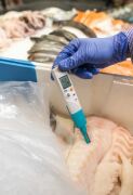 testo 206 pH2 | pH/sıcaklık ölçüm cihazı